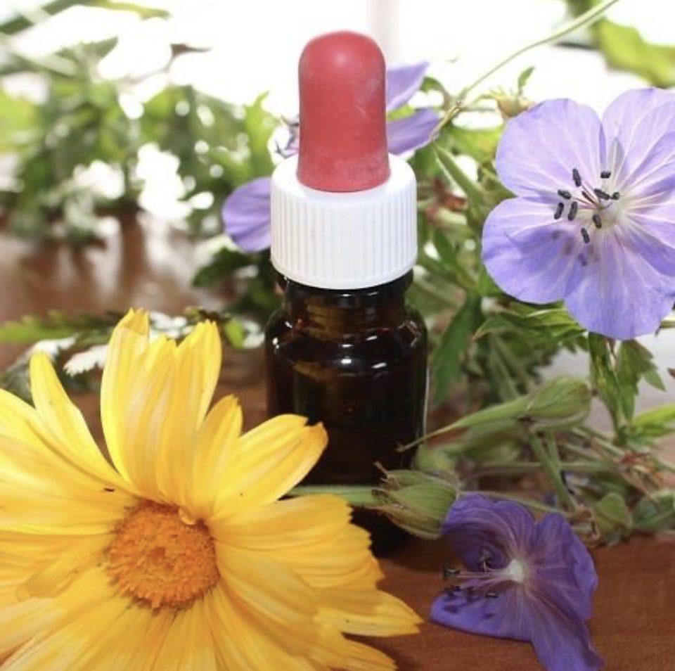 Holistic Flower Essence Therapy